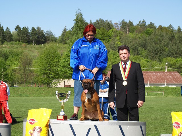 www.atibox.net * www.euroboxer.eu * www.boxergenealogia.eu